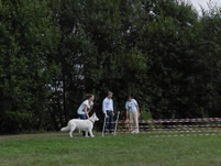 Coralie beim Hunderennen